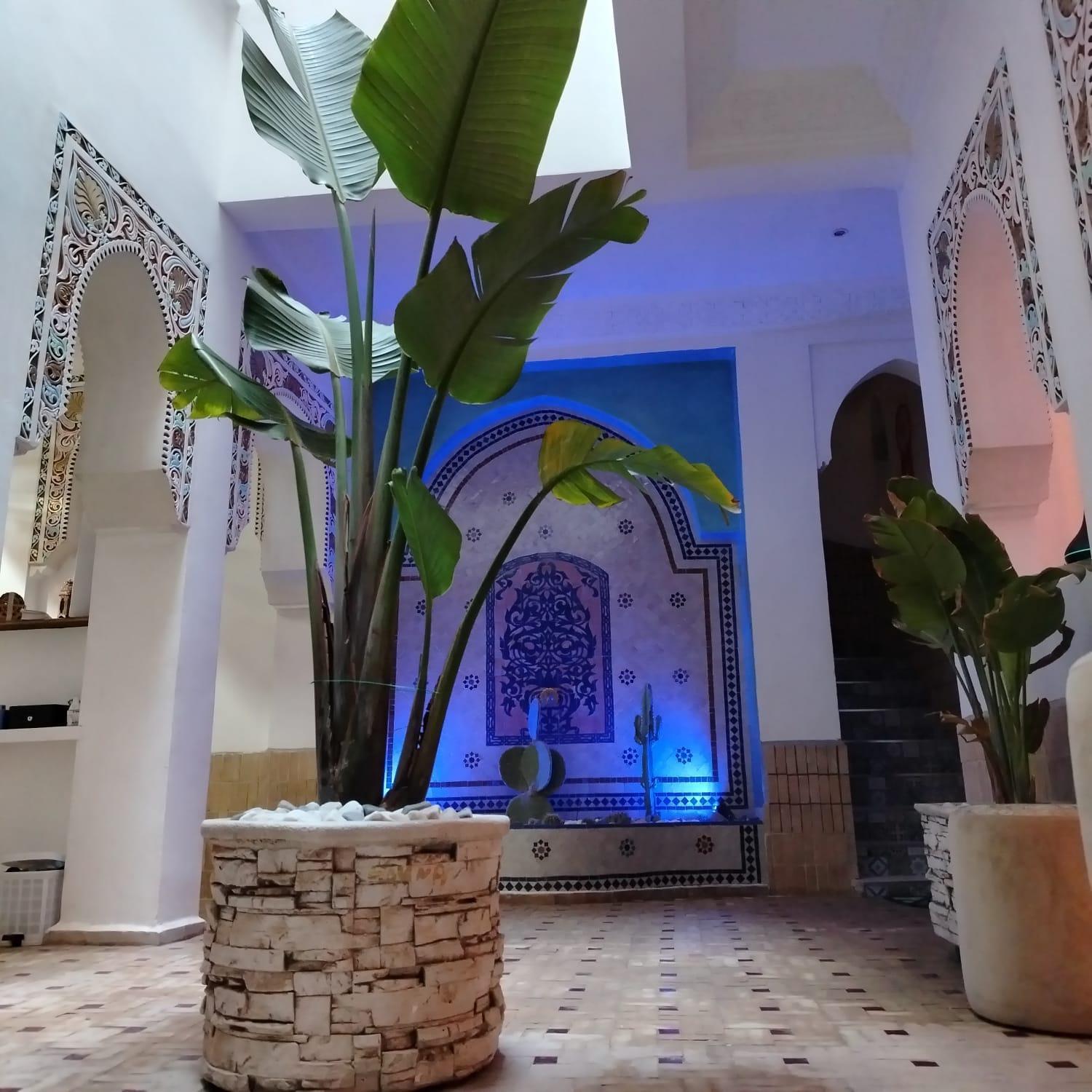 Riad & Spa Sous Le Soleil Chez Jerome Et Pamela Ch Marrakchi Marrakesh Exterior photo
